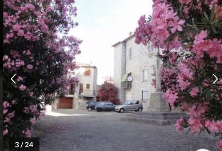 Ruoms Petite Maison 3* centre-village Esterno foto